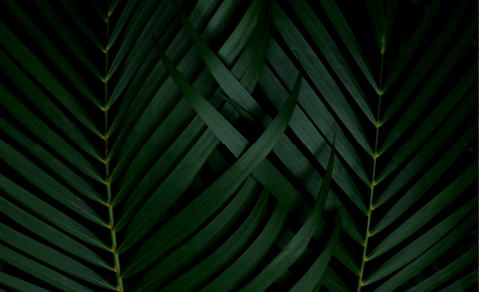 inner_01_02 https://tek-om.it/wp-content/uploads/2020/03/inner_01_02.png